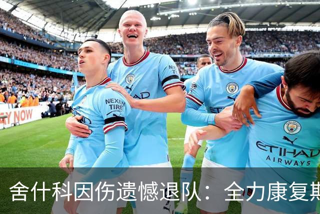 舍什科因伤遗憾退队：全力康复期盼重返赛场